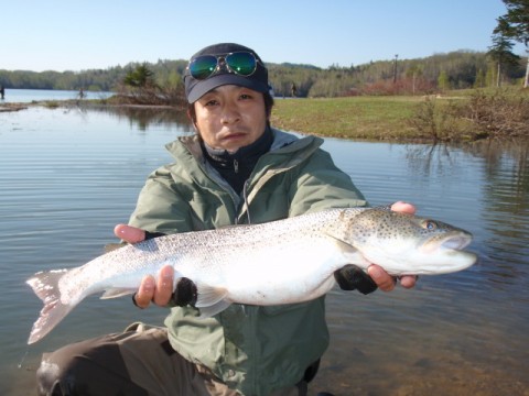 初めて見る実物にイトウ