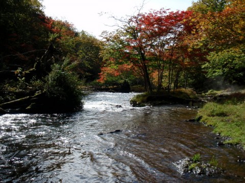 阿寒川の風景